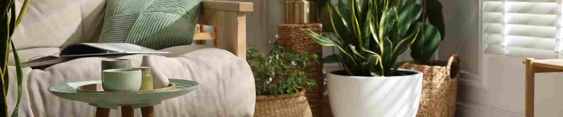 Comment décorer son salon pour un lieu convivial et chaleureux ? 7 conseils en or