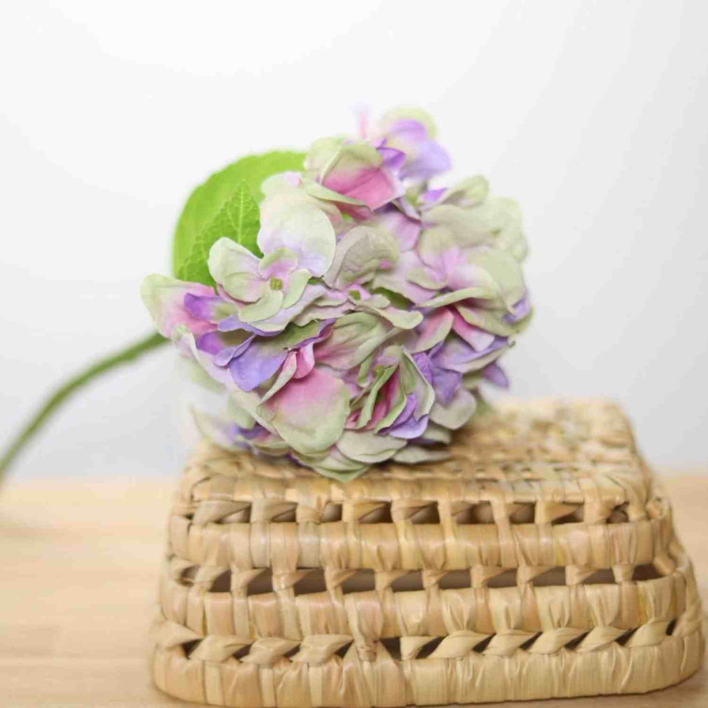 Fleur d'hortensia violet 