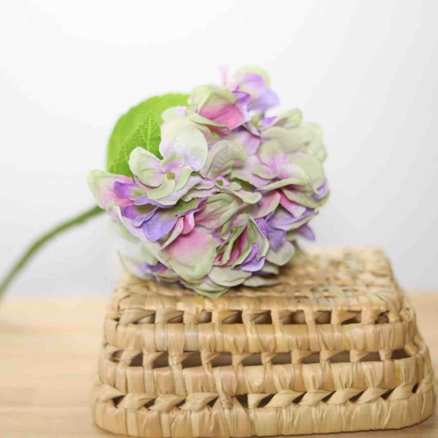 Fleur d'hortensia violet 