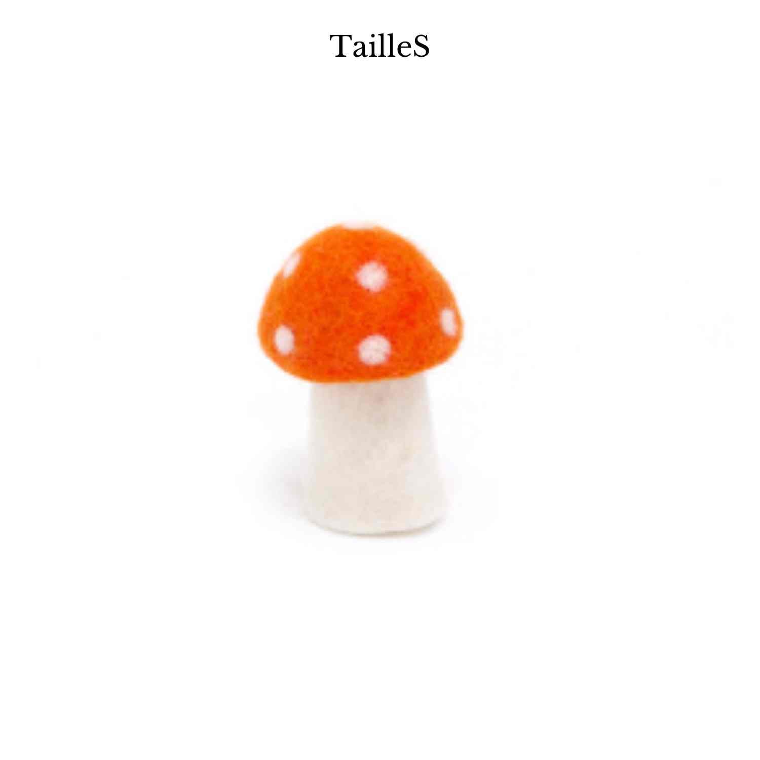 Champignon Dotty de Muskhane