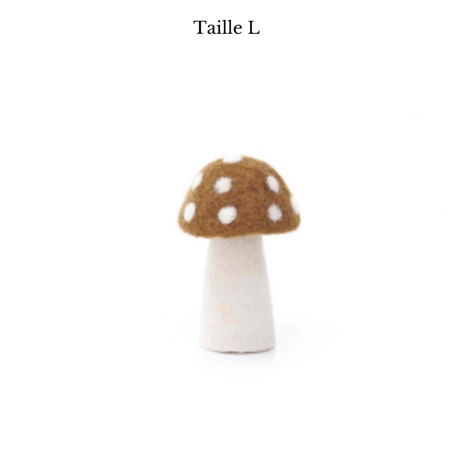 Champignon Dotty de Muskhane