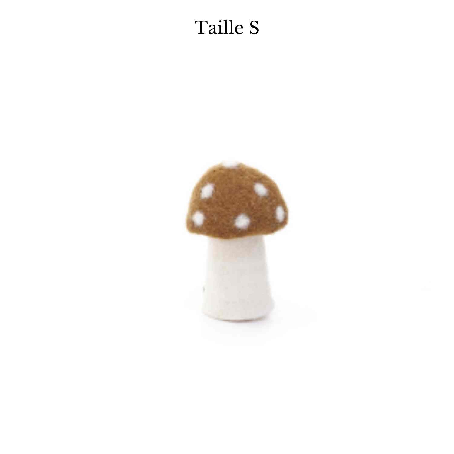 Champignon Dotty de Muskhane