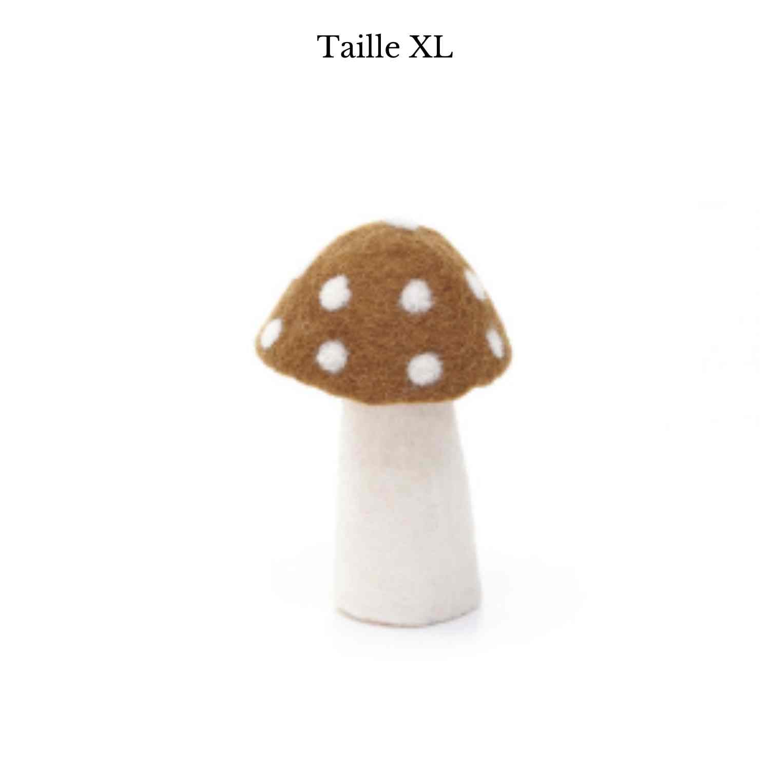 Champignon Dotty de Muskhane