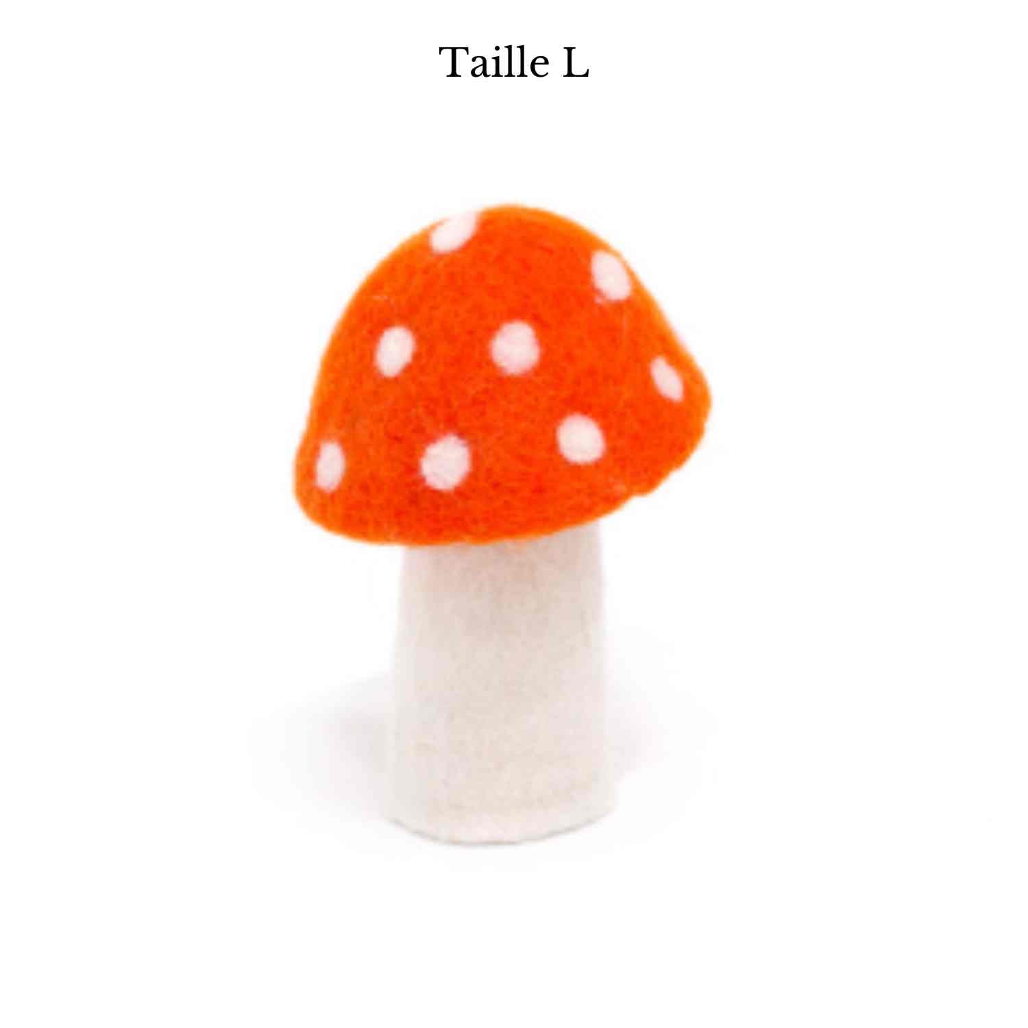 Champignon Dotty de Muskhane
