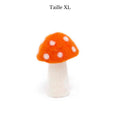 Champignon Dotty de Muskhane
