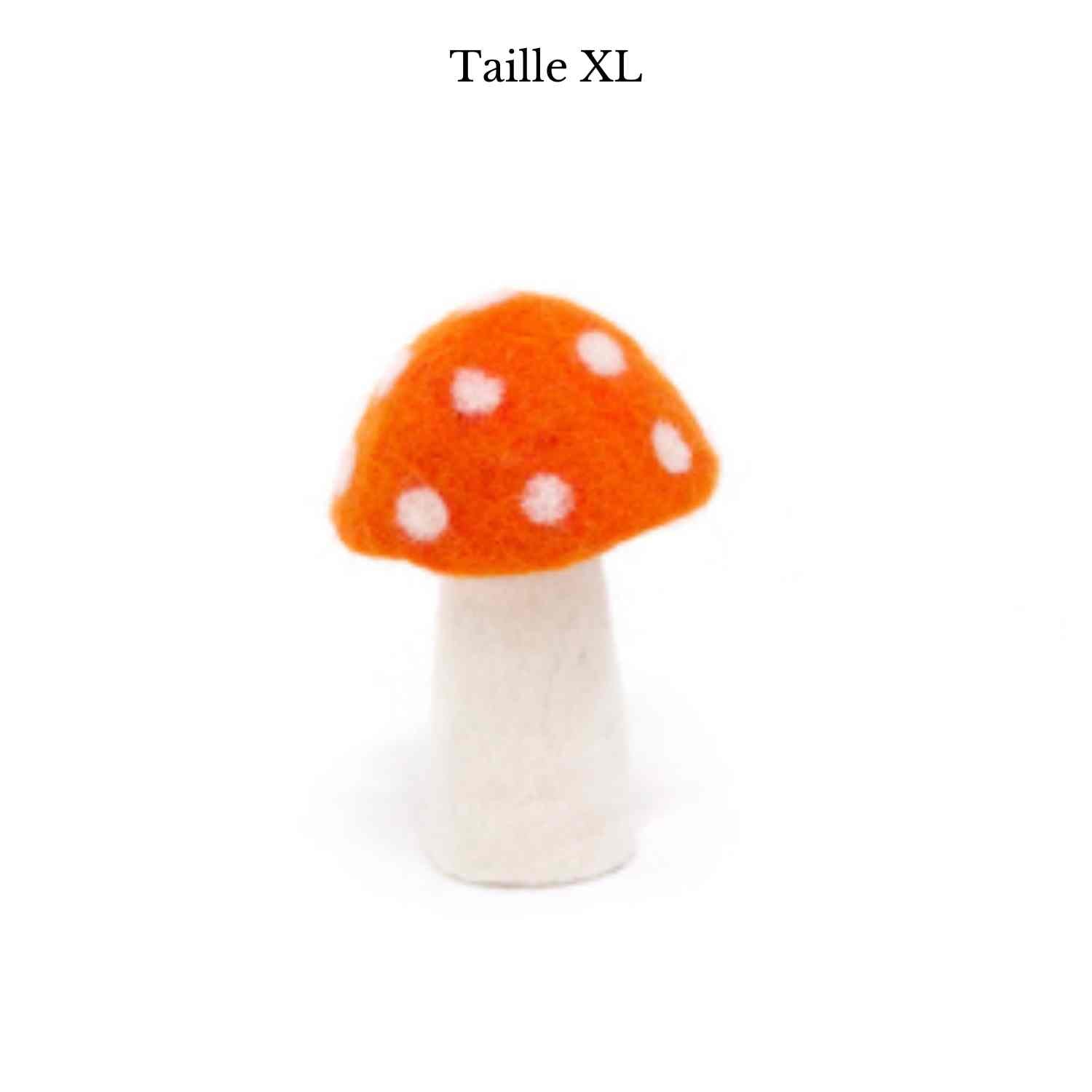 Champignon Dotty de Muskhane