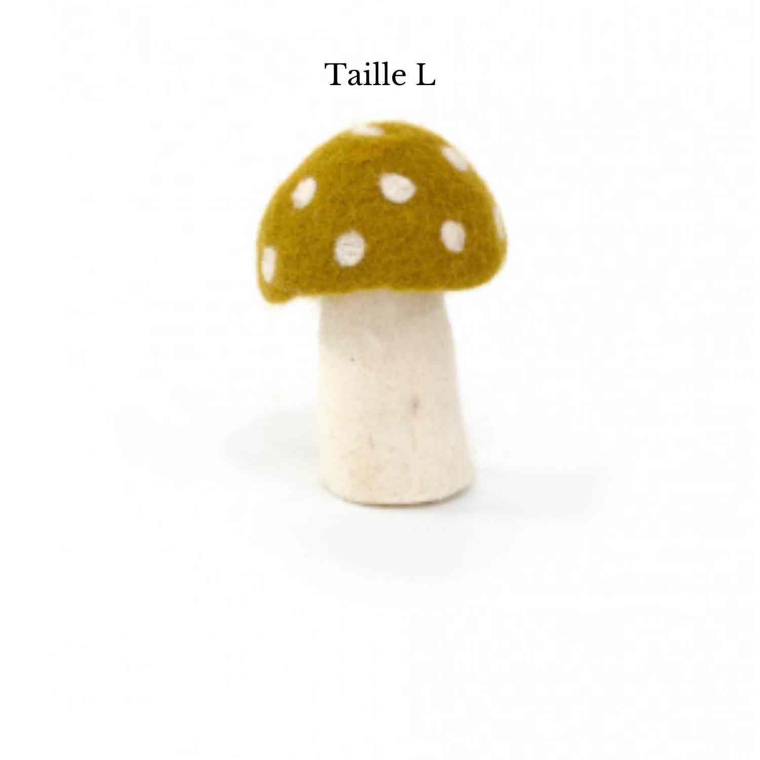 Champignon Dotty de Muskhane