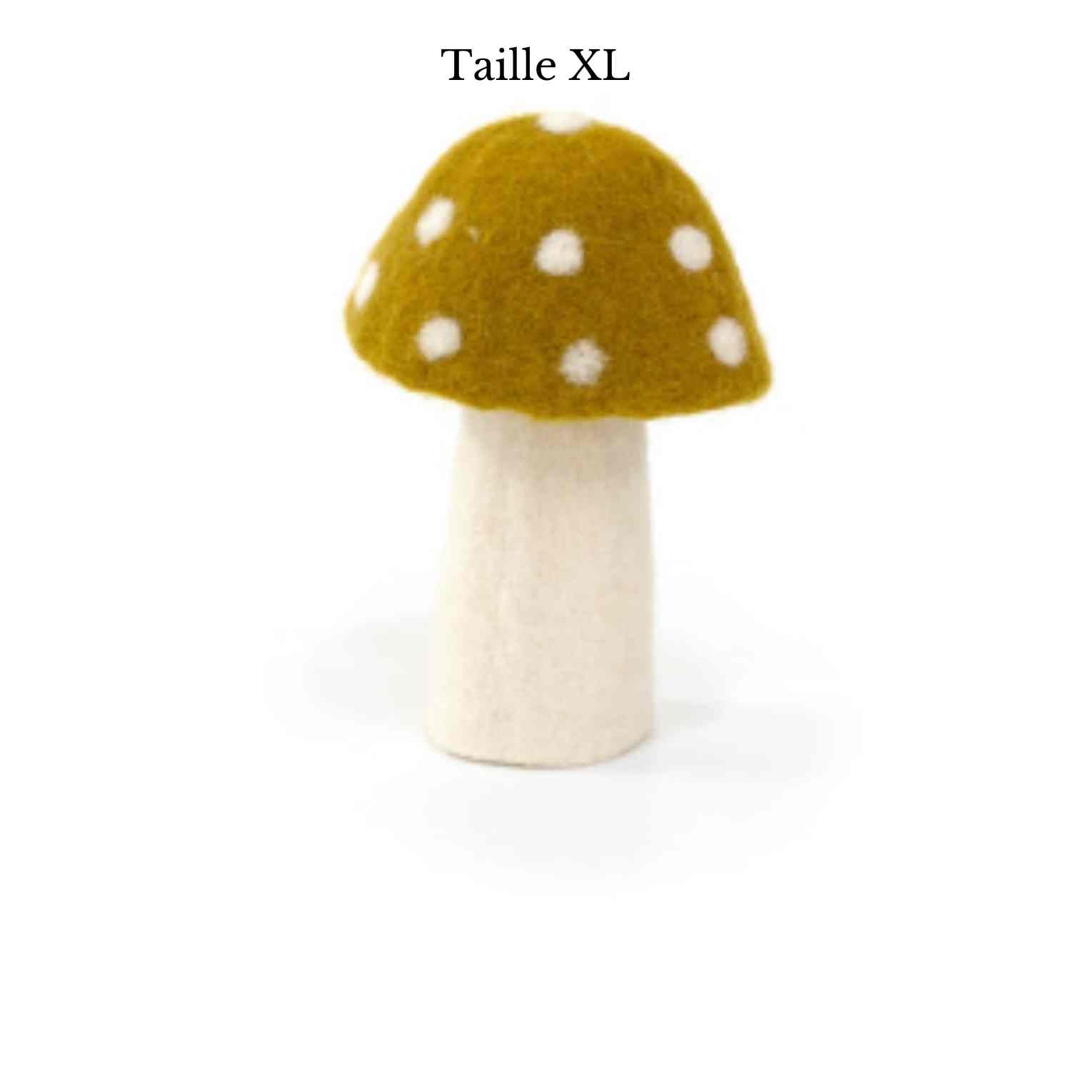 Champignon Dotty de Muskhane