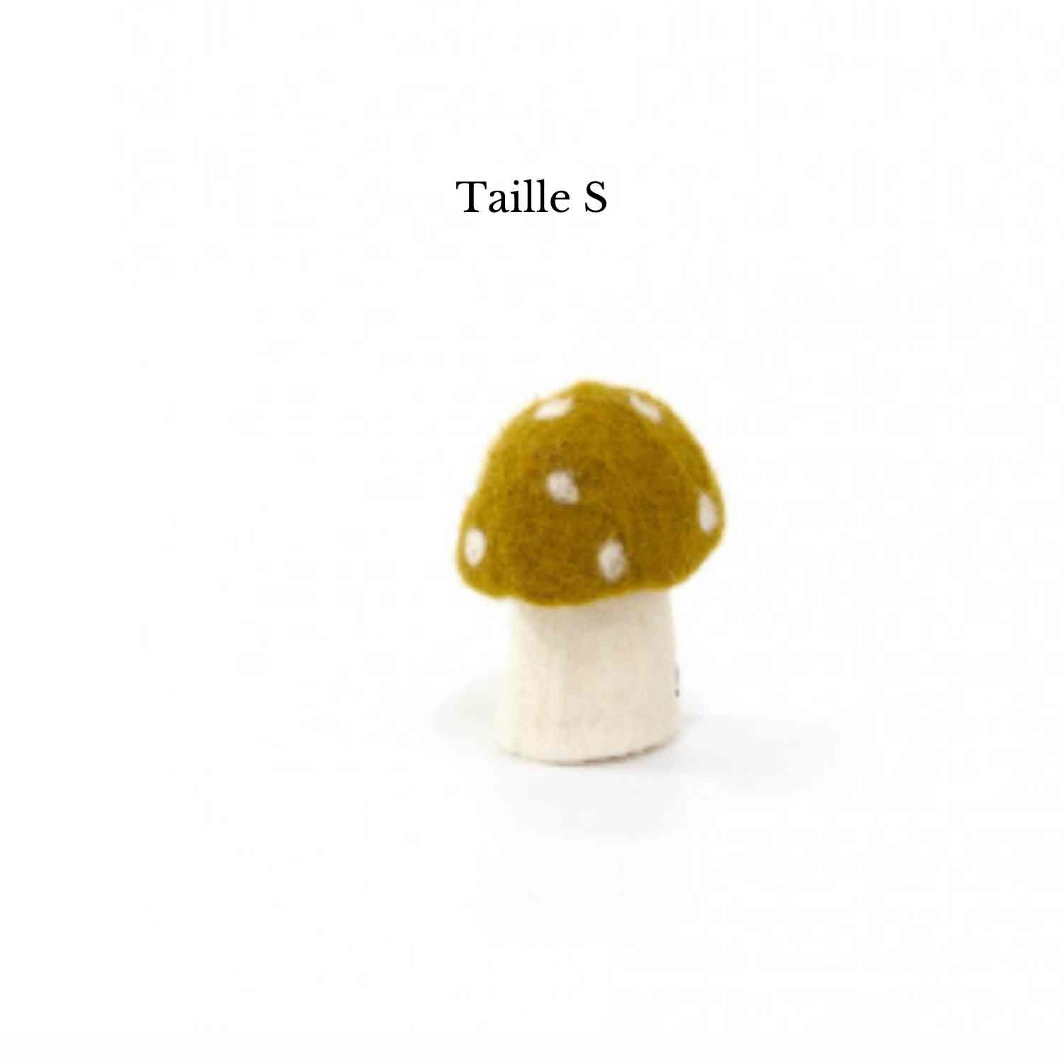Champignon Dotty de Muskhane