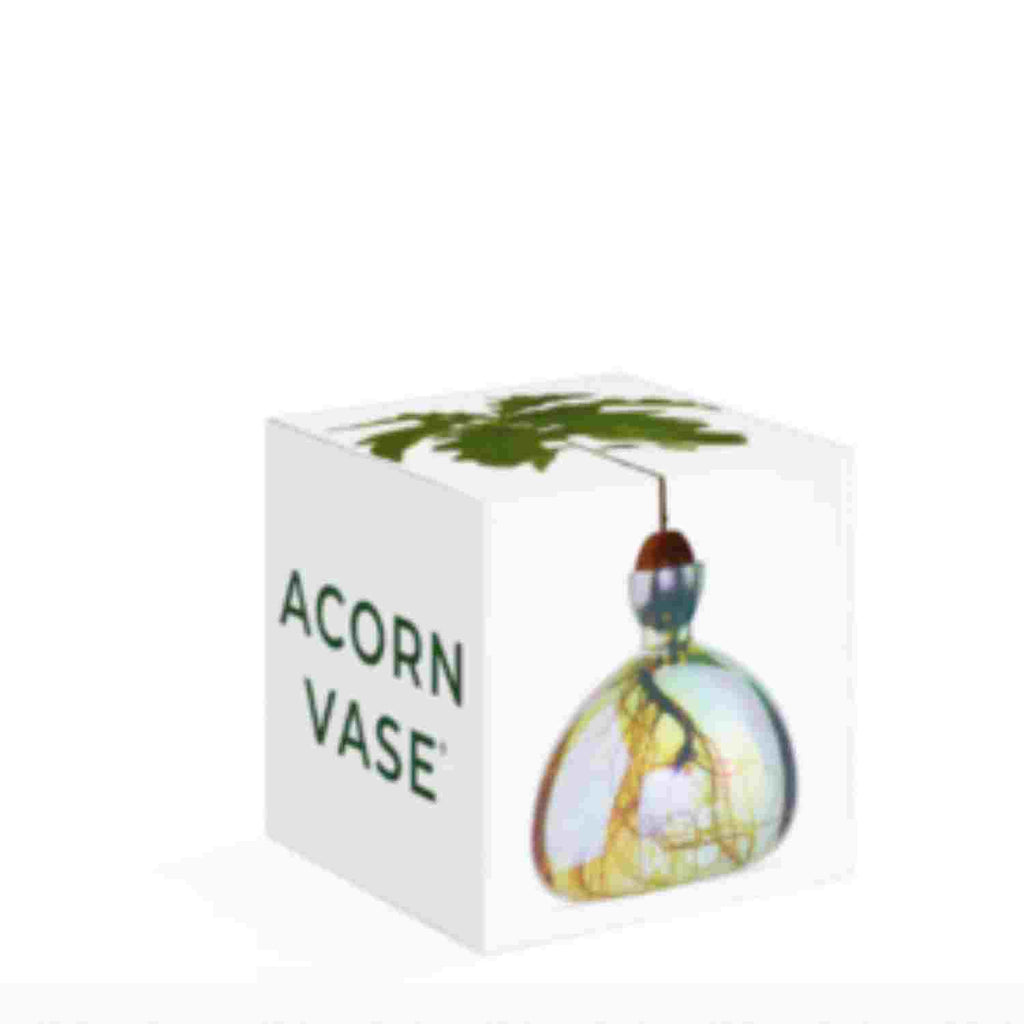 Vase à avocat Cosmic Astra