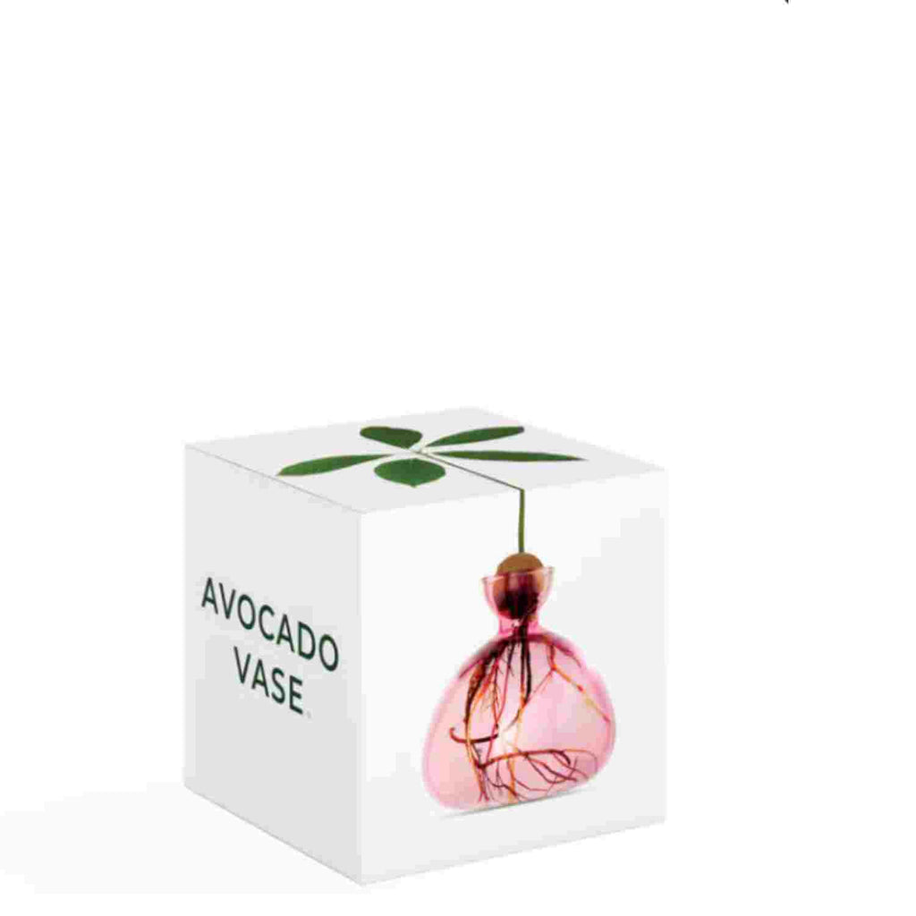 Vase à avocat rose