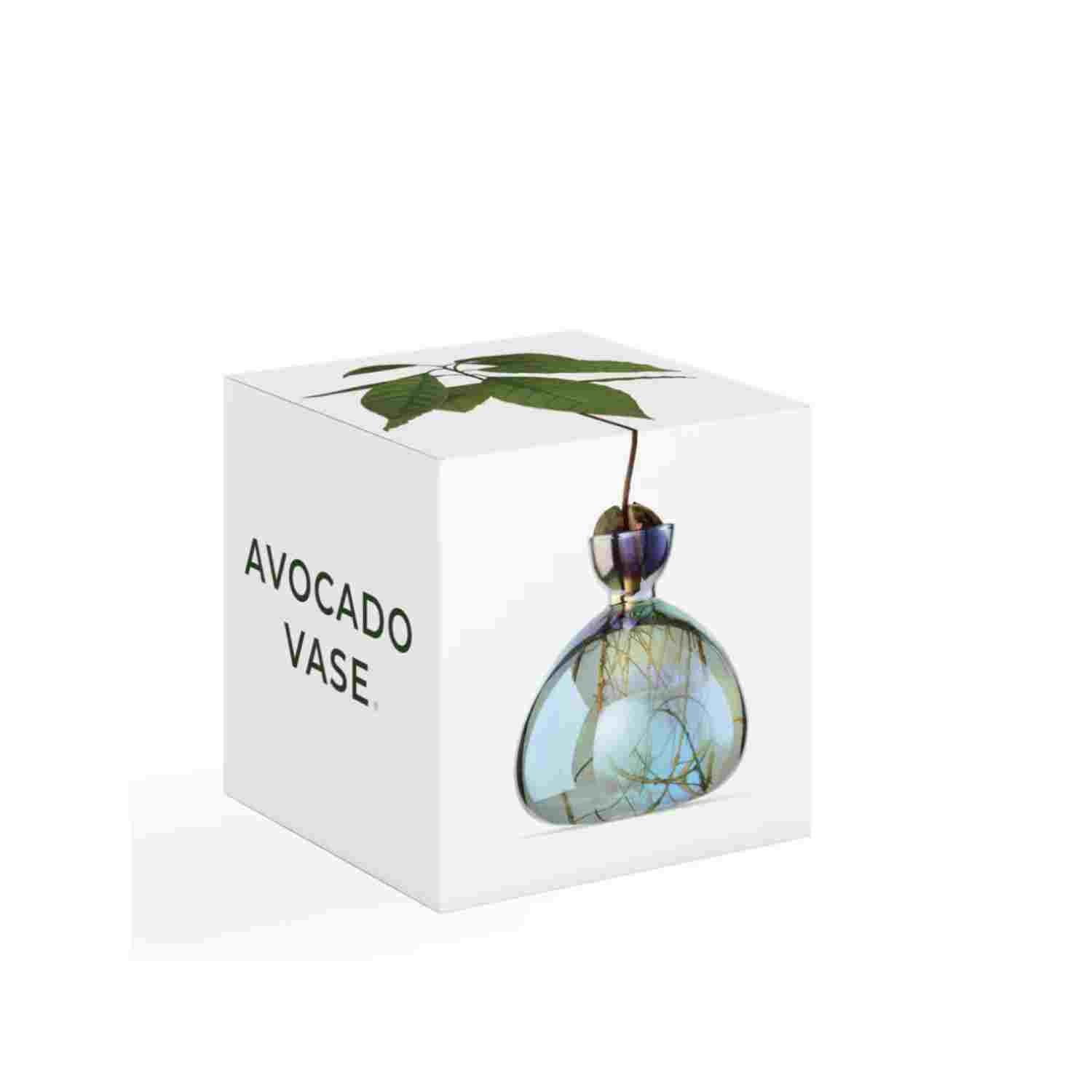 Vase à avocat Cosmic Lyra Vega