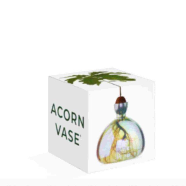 Vase à avocat Cosmic Astra – Image 2