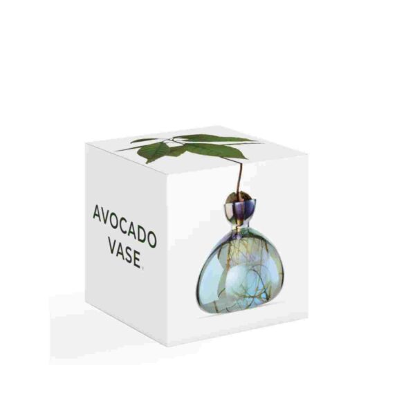 Vase à avocat Cosmic Lyra – Image 2